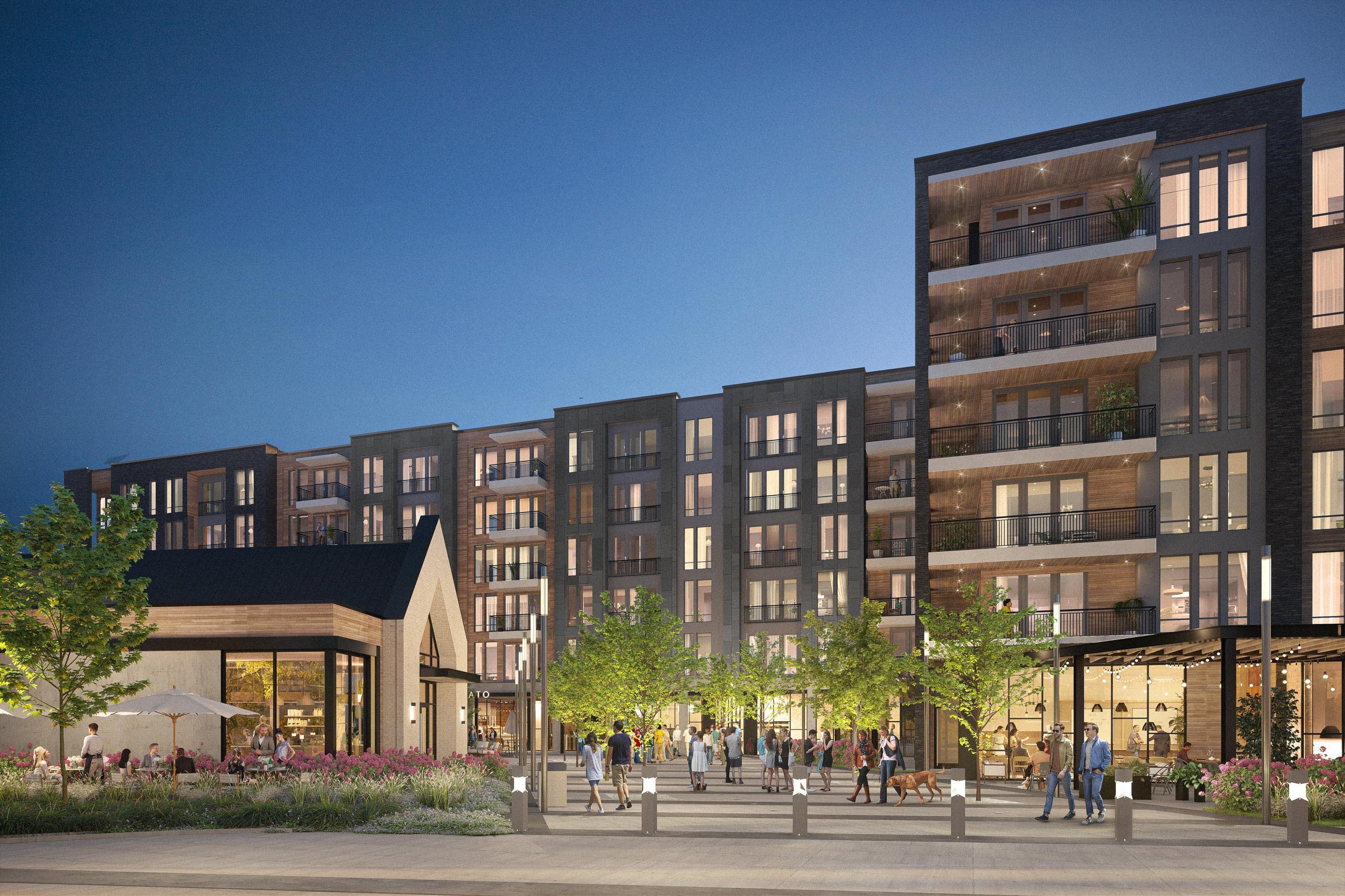 Rael Corp Charme on Ave